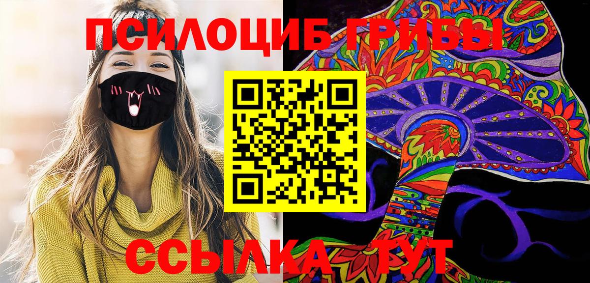 Галлюциногенные грибы Cubensis Котлас